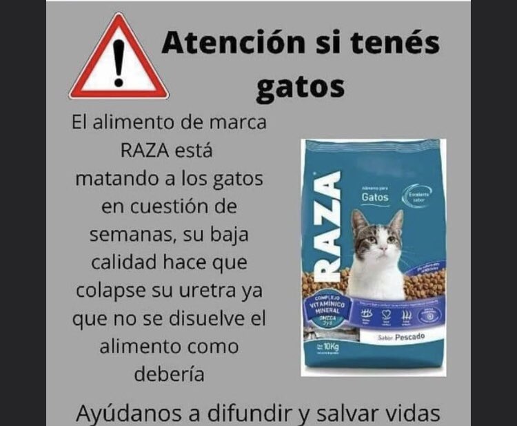 Tengan o no gatos deberian saber, completamente comprobado