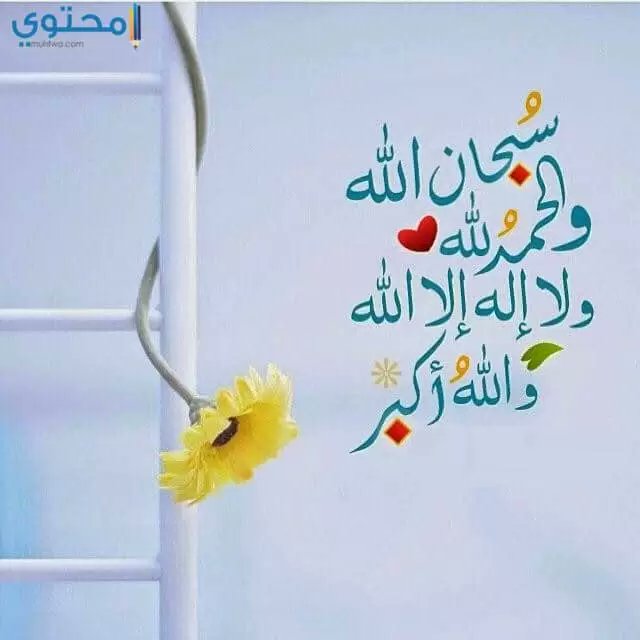 hayaa34094's tweet photo. https://t.co/P5I3QdLvSo