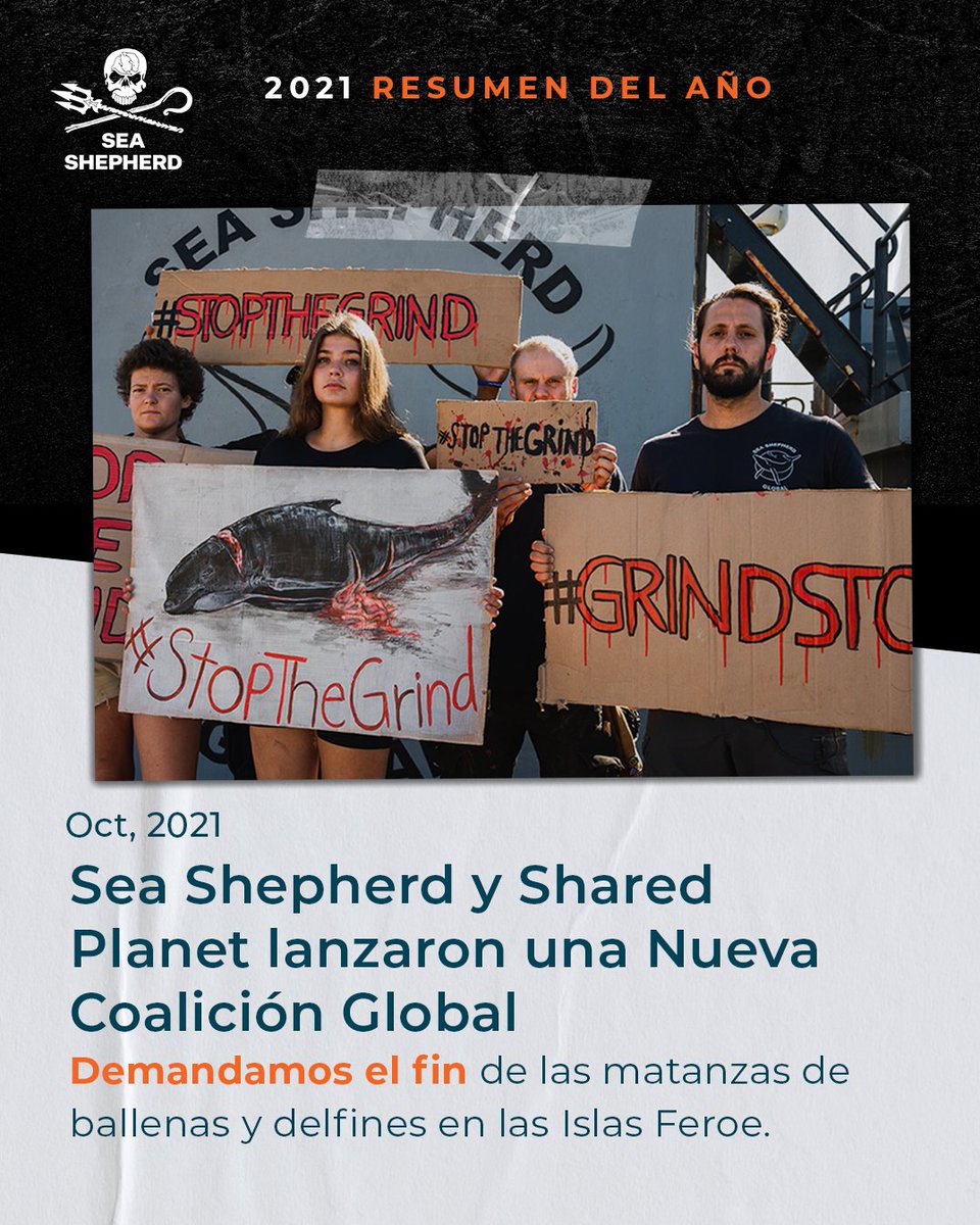 seashepherdarg's tweet photo. La indignación internacional por la matanza de los 1428 delfines en las Islas Feroe, resultó en la creación de una coalición global, Stop The Grind, una plataforma para que organizaciones e individuos trabajen juntos para #StopTheGrind.

https://t.co/634hMt0z9K https://t.co/u7jzmOB3tp