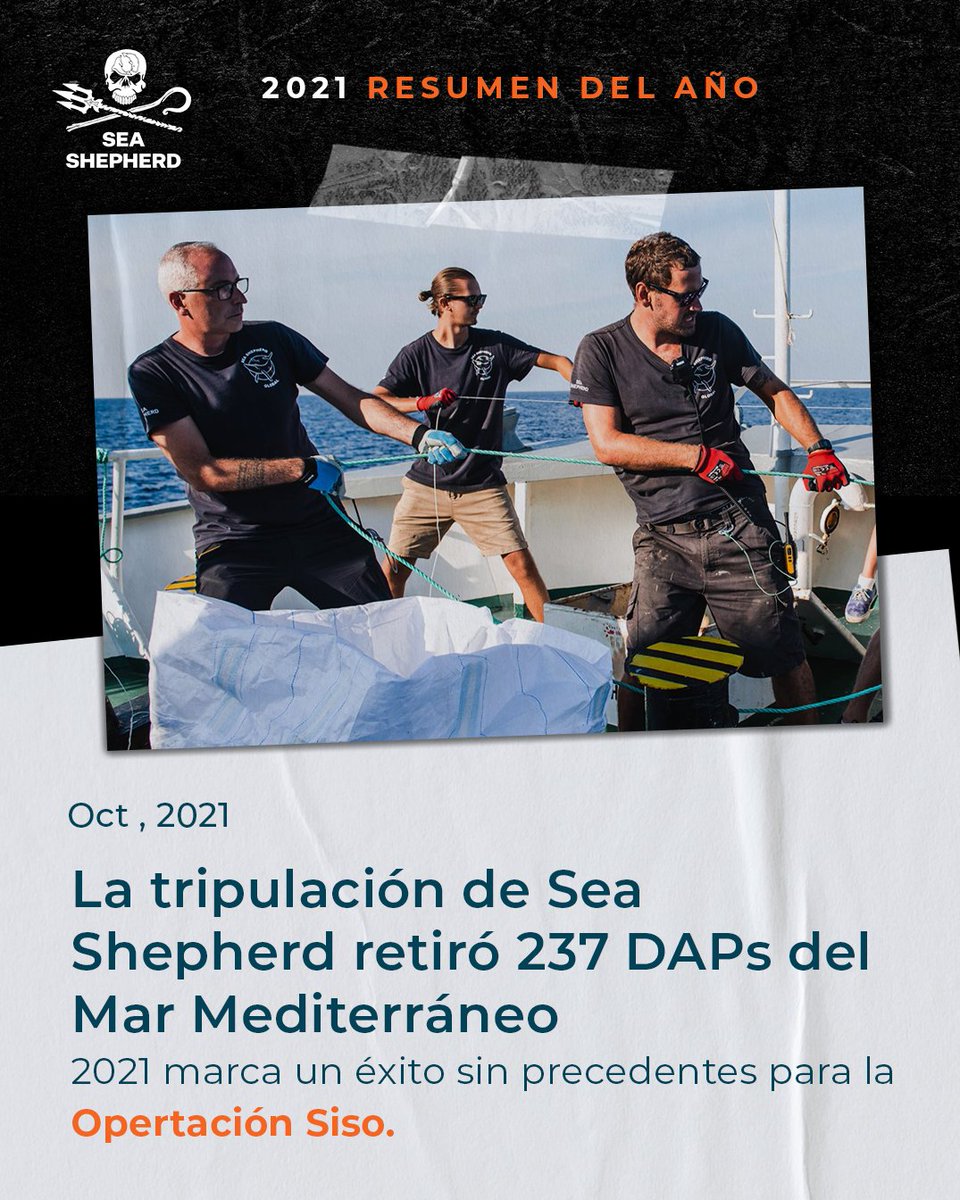 seashepherdarg's tweet photo. La tripulación de Sea Shepherd retiró 237 DACs (Dispositivos de Agregación de Peces) del Mediterráneo durante los últimos 2 meses de la Operación Siso. Estos son algunas de las artes de pesca que nuestras tripulaciones recuperan del océano cada año.

https://t.co/1GZyZ0jOY4 https://t.co/a0xu4MGnzj