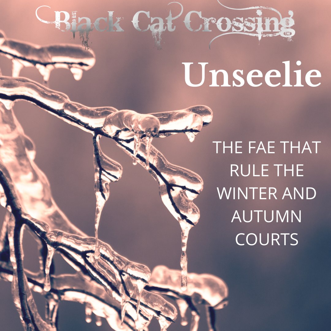 BlackCatCrossi2's tweet image. #beyondnormal #paranormal