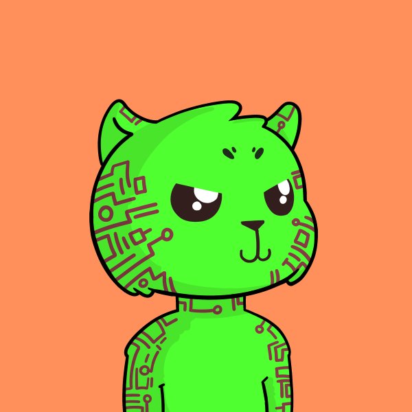slayervault's tweet photo. You all are minting random jazz all the time and getting rugged. If you're looking for a project with really cool art &amp; commited team, atleast have a look at @CabuCats. 

Minting at 0.04 ETH + Gas. Have a look you all won't be disappointed https://t.co/ewtmQULUQi