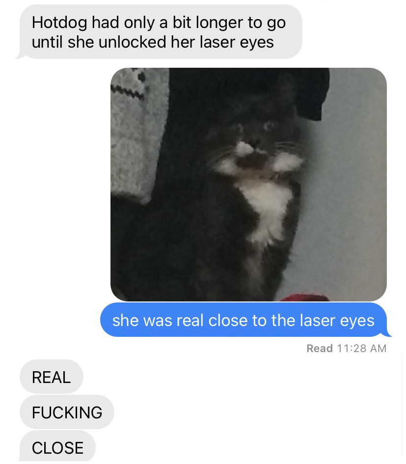 fishdticks's tweet photo. rip to the lizard queen and her lizard laser eyes https://t.co/tVgqtU7ZoK