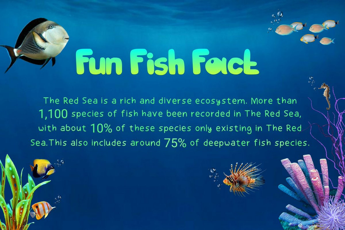 MotherPuffers's tweet photo. Fun Fish Fact ๐ค #funfishfact #tuesdayvibe https://t.co/tQHJp0DeAQ