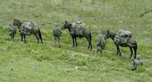 TimPurbrick's tweet photo. Military horses and mules in modern militaries.

Far from being consigned to both history and just ceremony, a number of armed forces today have operational equine capabilities.

Thread looks at the who, what, when, why, where and how etc (but not in that order). https://t.co/JMrF0r1TKC