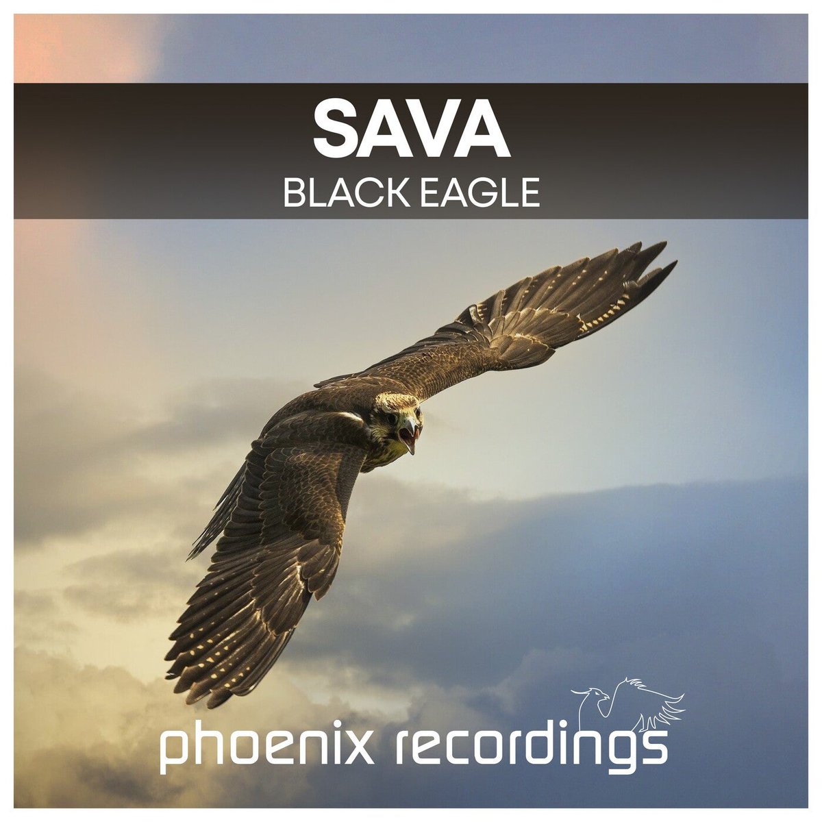 NorthPole_Show's tweet photo. 13.- @SavaMusicTrance - Black Eagle (Extended Mix) @phoenix_rec #STY21 @PlayTranceRadio #trancefamily https://t.co/STuGgXaLX7