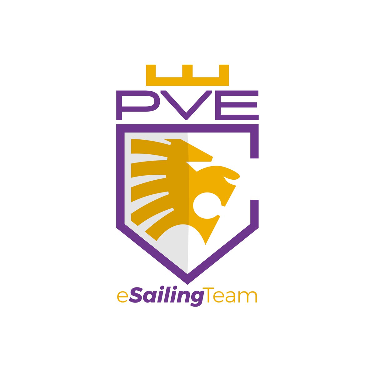 Team_Pve's tweet photo. #NouvellePhotoDeProfil 
@VirtualRegatta @ProjectionVirt1 
#PVeTeamSpirit https://t.co/zwXLYIfxZd