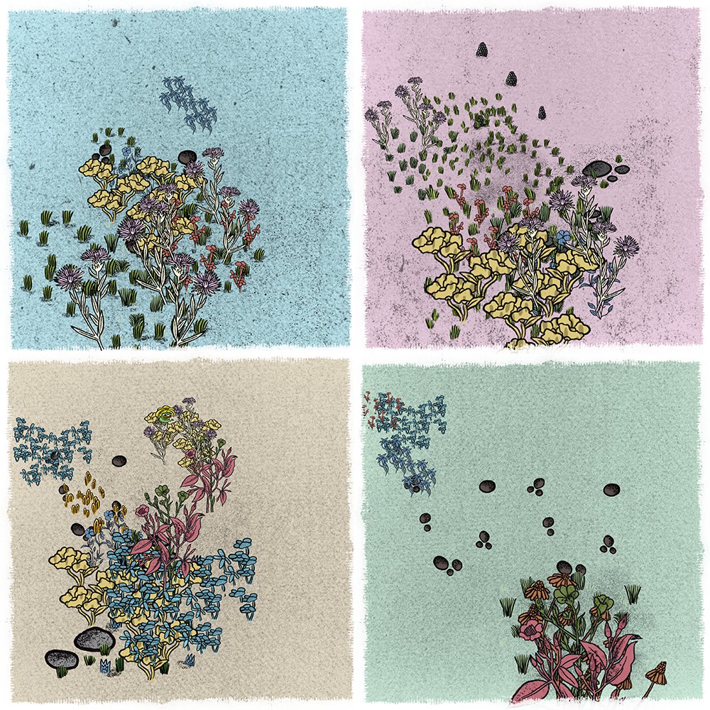 Waxheadart's tweet photo. Tomorrow 10am EST on @fx_hash_ 
Gardens
200ed
https://t.co/Mt6eRts6Ry
Thank you everyone who collected my first piece.💐
Excited to see what gardens people mint.
#fxhash #generativeart #tezos #CleanNFTs https://t.co/T8nIFL5XuG