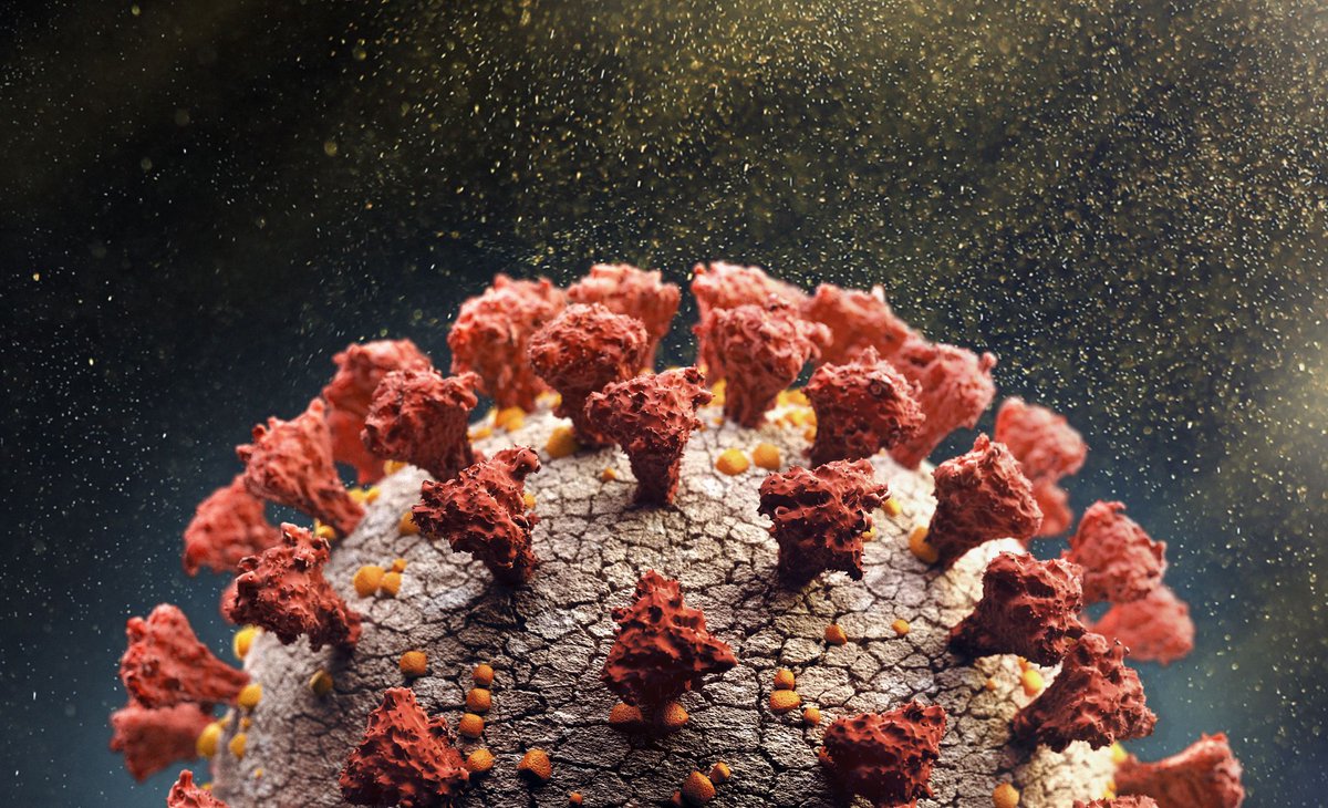 CORONAVÍRUS EM ALTA
Com 2,4 milhões de infecções em apenas 24 horas, o mundo bateu um novo recorde diário de casos de Covid-19 nesta segunda-feira (3). Siga o fio para entender o que está acontecendo 👇