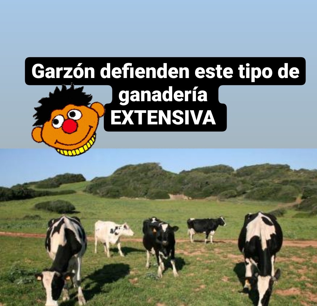 🍉Pdpirri-🇵🇸🌍🄱🄴🅃🄸🄲🄾 tweet media