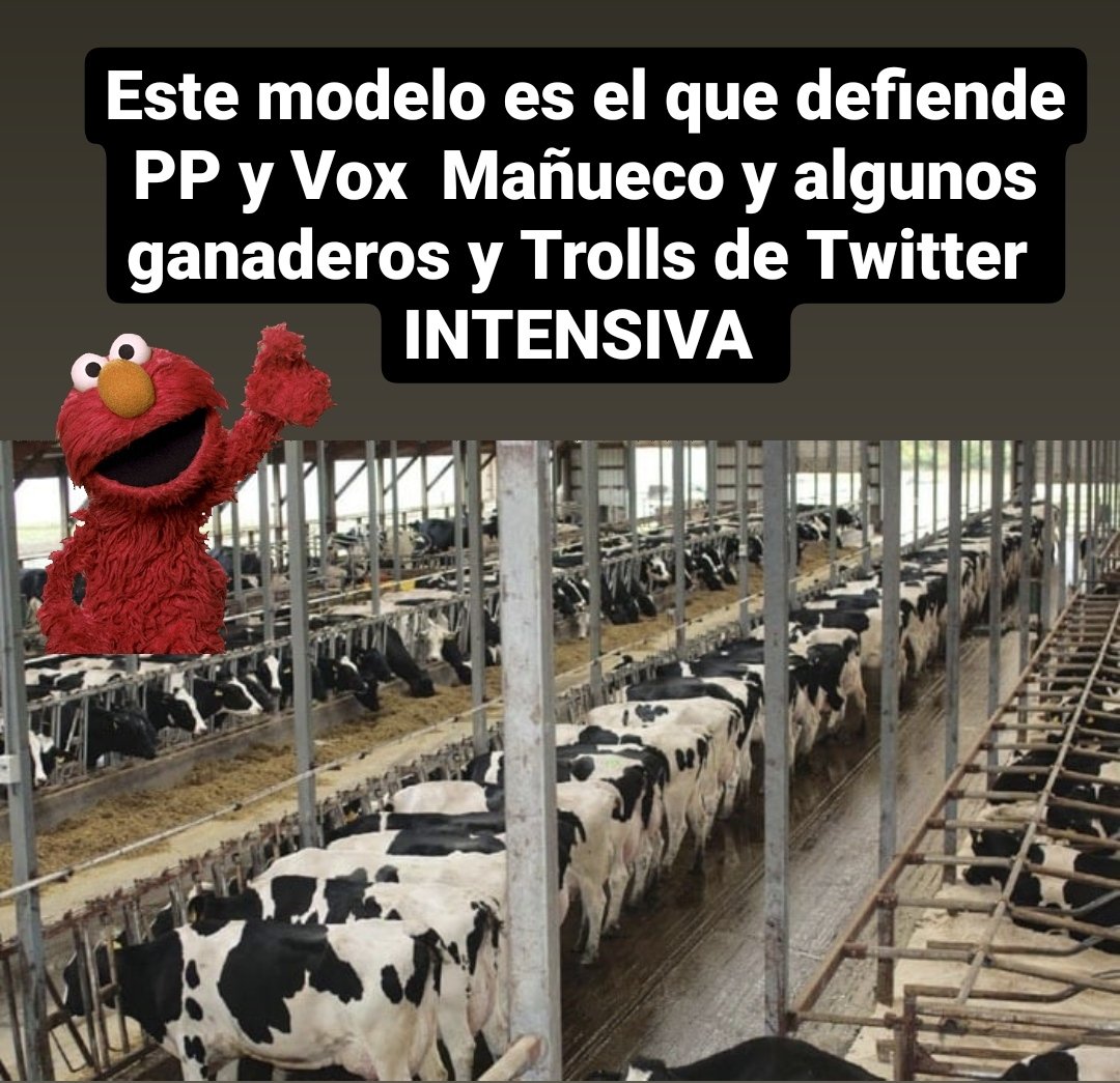 🍉Pdpirri-🇵🇸🌍🄱🄴🅃🄸🄲🄾 tweet media