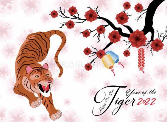 2020虎虎生威！！！