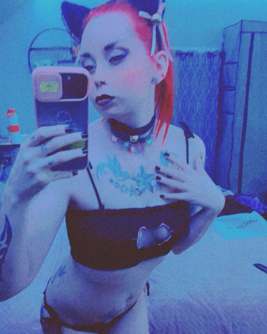 Here kitty kitty kitty 🐱 #twitter #instagram #facebook #youtube #memes #tiktok #love #follow #like #meme<a href="/tag/twitter"class="tags">#twitter</a><a href="/tag/instagram"class="tags">#instagram</a><a href="/tag/facebook"class="tags">#facebook</a><a href="/tag/love"class="tags"><span>#love</span></a><a href="/tag/instagood"class="tags"><span>#instagood</span></a><a href="/tag/follow"class="tags"><span>#follow</span></a><a href="/tag/music"class="tags"><span>#music</span></a><a href="/tag/funny"class="tags"><span>#funny</span></a><a href="/tag/youtube"class="tags"><span>#youtube</span></a>