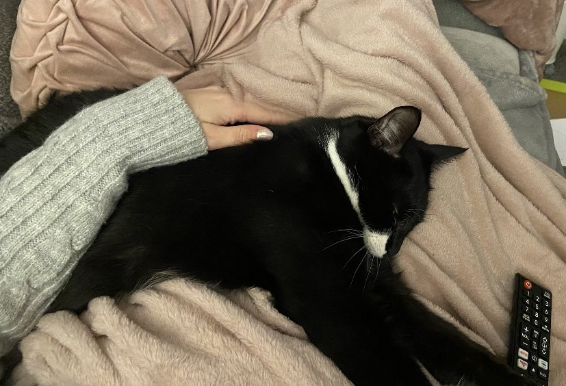 LeoandVinnie's tweet photo. Human went back to work today.
I missed her🥺❤️
#4thJan #backtowork https://t.co/YRig2hQod1