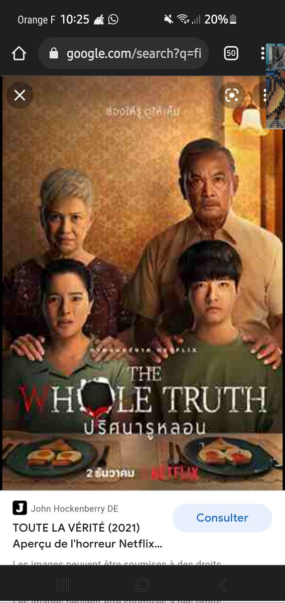 Qui a vu ce film sur netflim il est cool et intriguant pour les fan de films dhorreur