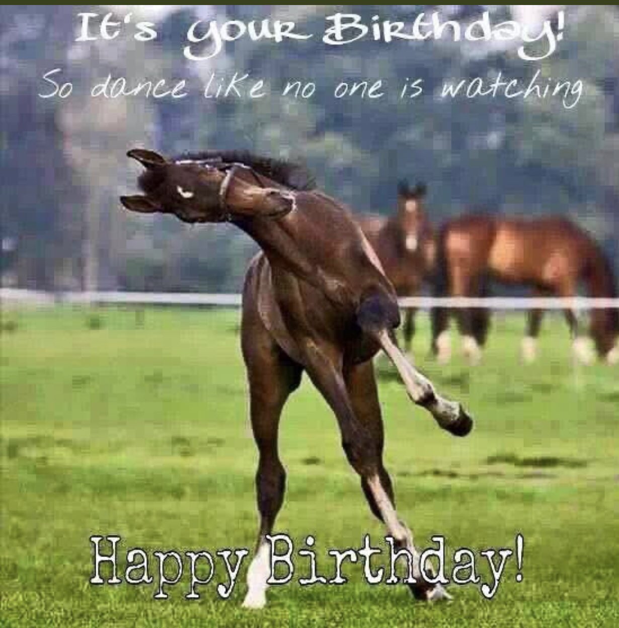    Happy Birthday Harlan Coben 