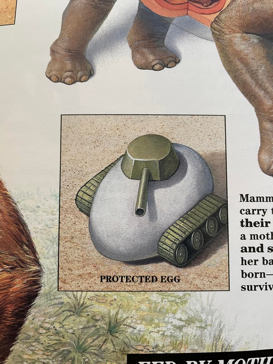 Nico Ruiz tweet media