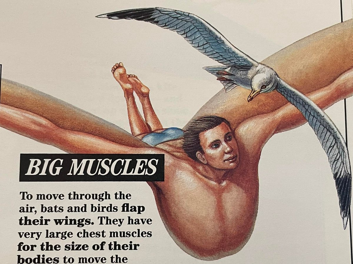 Nico Ruiz tweet media