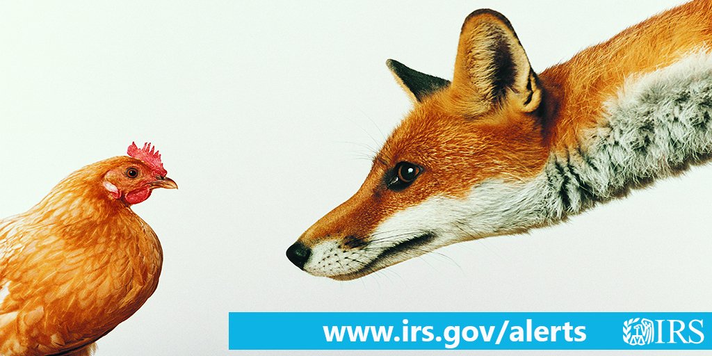 IRSnews's tweet photo. #IRS urges you to stay on the lookout for new scams that put your information and your tax refund at risk. #TaxSecurity: https://t.co/VIwGwaA9Gd https://t.co/0rtEJhXCjV