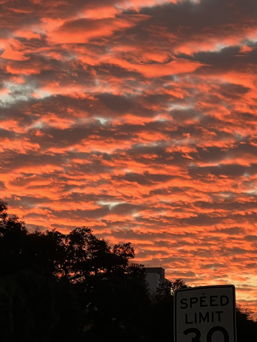 Rsawx1's tweet photo. @PaulFox13 Downtown St Pete Sunset! Happy New Year! https://t.co/FkUkwHSv6Z