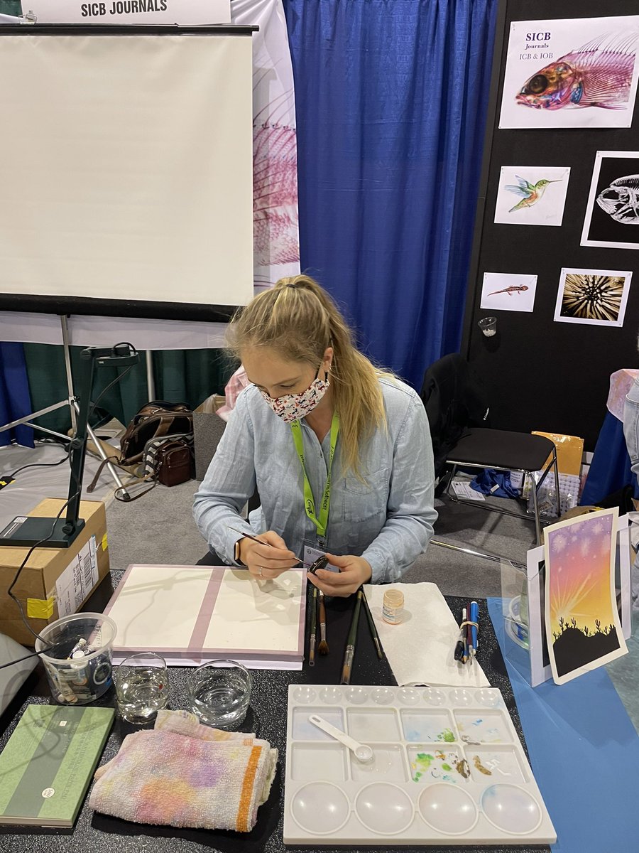 steroiddr's tweet photo. Meet the multi-talented @BirdBrainTosh for a watercoloring break at the @ICB_journal and @iobjournal booth during today’s poster session at #SICB2022! https://t.co/YVX5v1FQrY