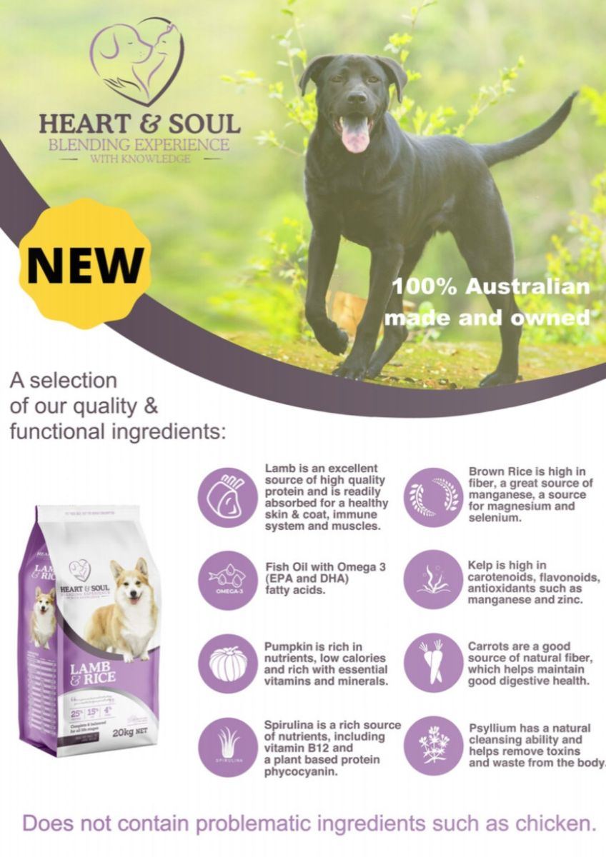 formypetz's tweet photo. New Product | Summer Protection | - https://t.co/nIukqWq1pL https://t.co/tdgmwXaG5z