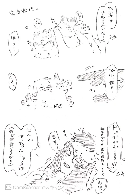 あの日以来警戒されてる うさうさトレジェイ 