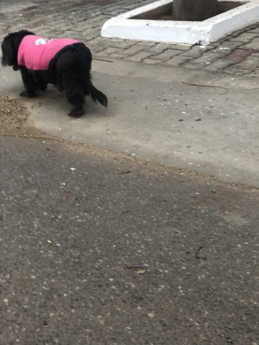 udaiveer tweet media