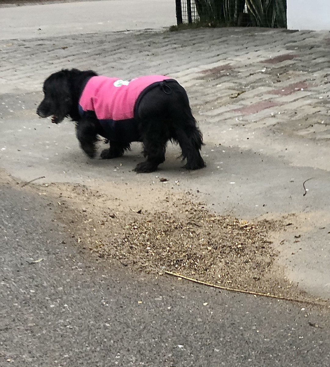 udaiveer tweet media