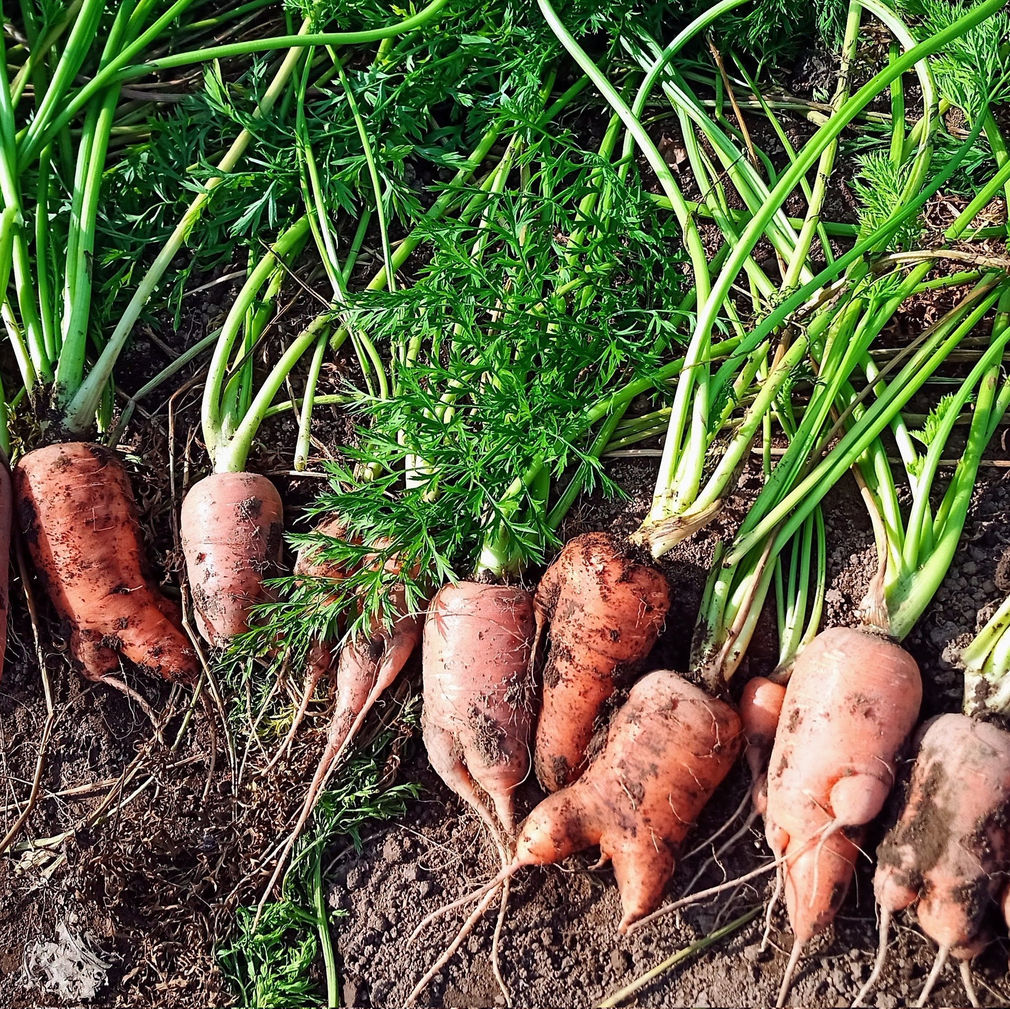 Nao Ok Naook13 Twitter