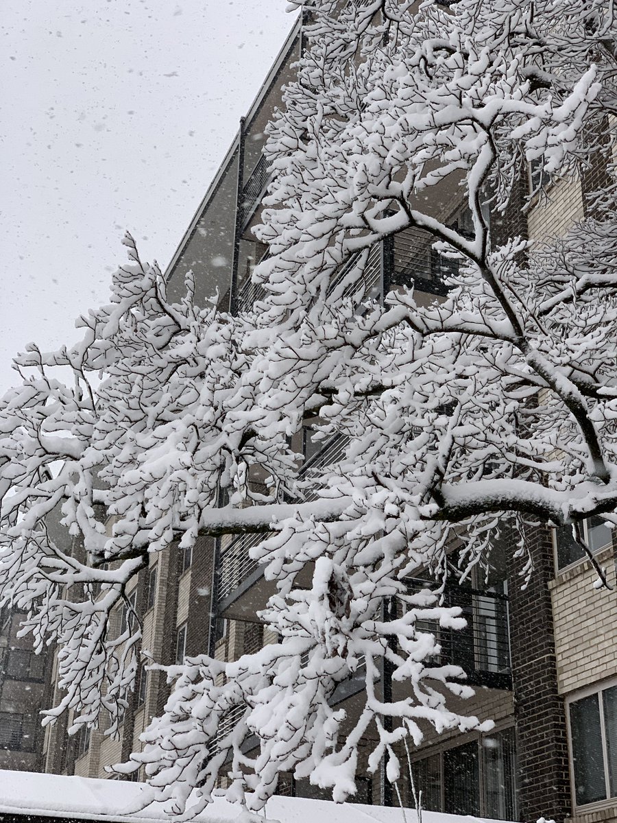 Tenderfoot tweet media