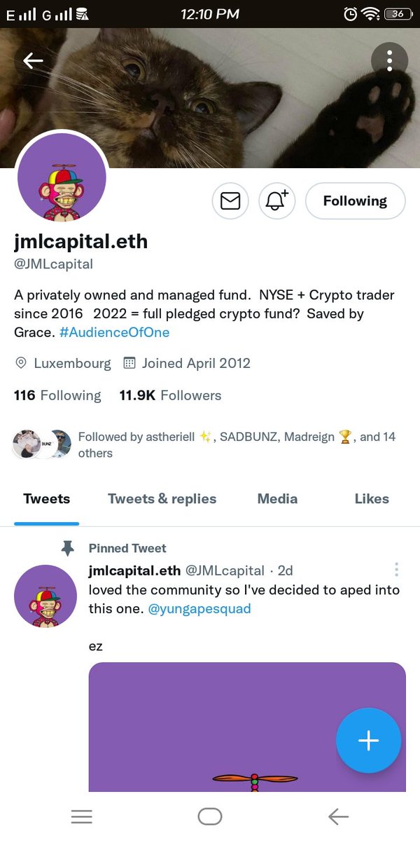 cii_wins07's tweet photo. @GordoFuego @JMLcapital https://t.co/DOGqU95wlS