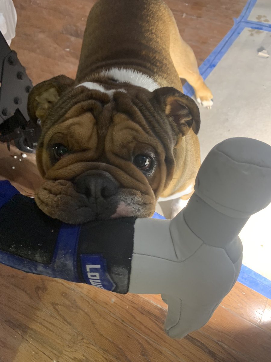 Beau Sauley tweet media