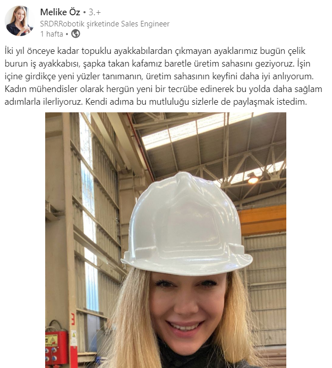 Linkedin nedir özeti