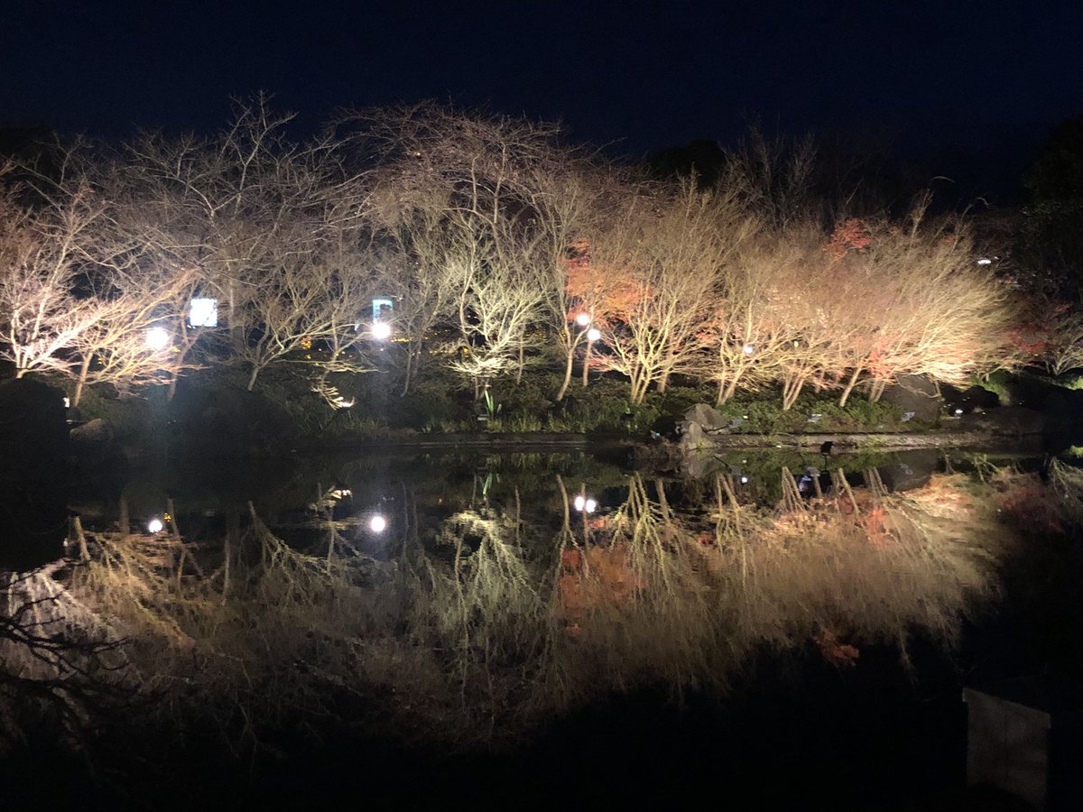 32charo_'s tweet photo. 昨日なばなの里行ってきた👐
今日は行けたら伊勢神宮⛩
行けなかったら分からん🤥 https://t.co/Hh1CMSxF3n