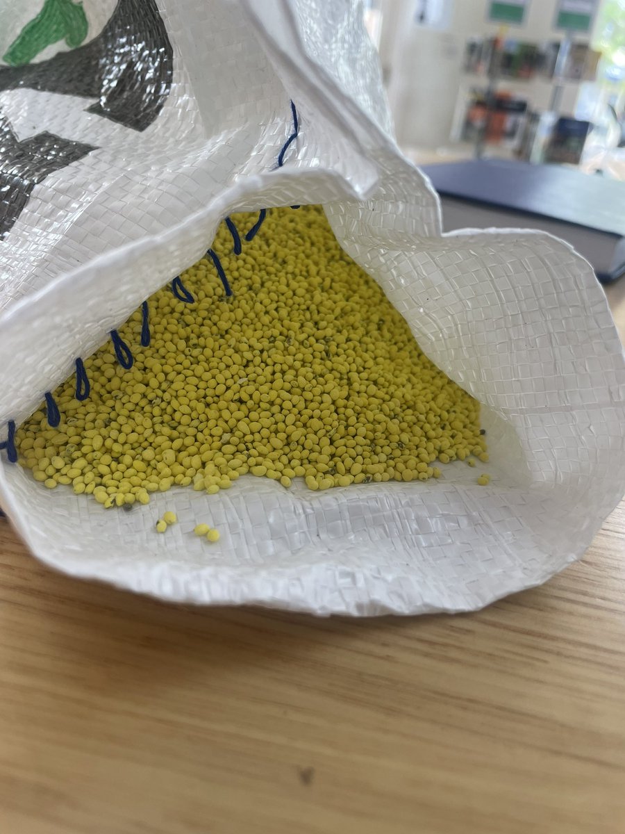 Following on from the grass seed in the dogs paw vet saga…. <a href="/RehnFreebairn/">Rehn Freebairn</a>  and the boys from S&amp;W Seeds have come up with the solution. Soft Kikuyu. Christmas come late! 🌿🐶🍻