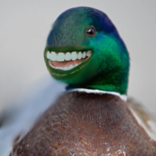 spthull's tweet image. 