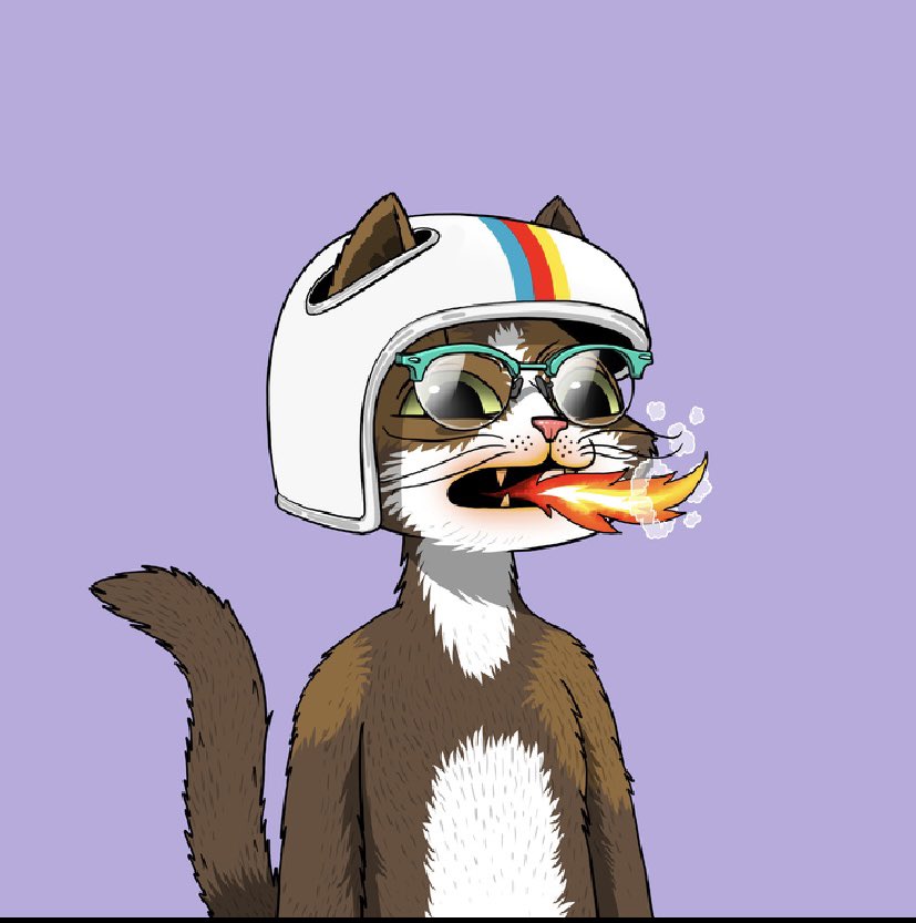 $teez.eth tweet media