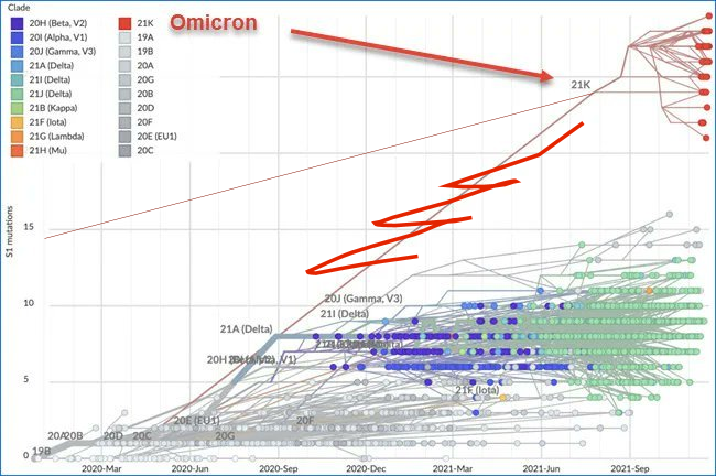 EthicalSkeptic's tweet photo. @hendrick2018 Yes, but it was the first, not second, lab leak. Omicron's ancestry is older than Wuhan. https://t.co/3nuxt15DD0