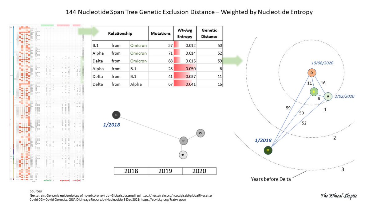 EthicalSkeptic's tweet photo. @hendrick2018 Yes, but it was the first, not second, lab leak. Omicron's ancestry is older than Wuhan. https://t.co/3nuxt15DD0