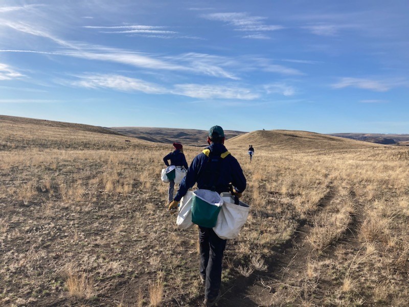 EcologyWCC's tweet photo. A year after listening to @BirdNoteRadio series Grouse, @AmeriCorps member Finn Maunder found himself on one of our field crews, planting sagebrush to restore the landscape described in the podcast. Hear first-hand from Finn in our latest blog: https://t.co/wdl31l3h0T #WeServeWA https://t.co/yOBUX7wuIE