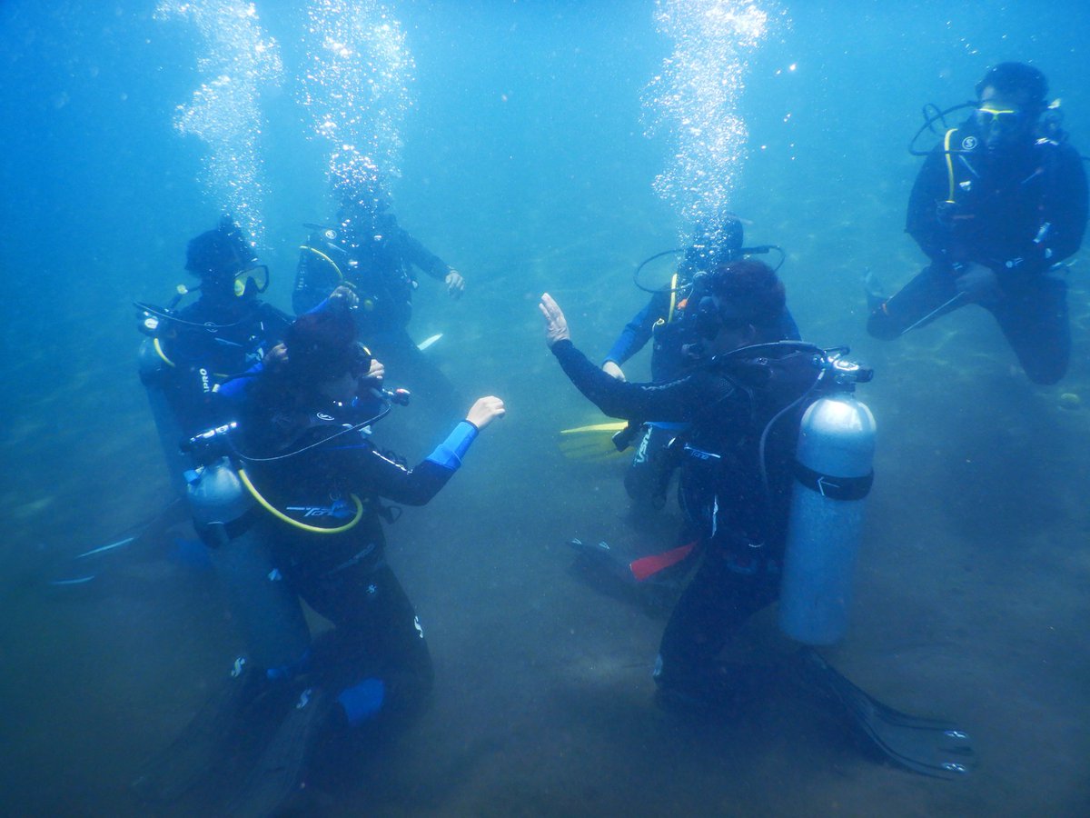 JaladharmaC's tweet photo. OW certification Batch 4

#openwater 
#diving 
#scubadiving https://t.co/3YYNctqW4c
