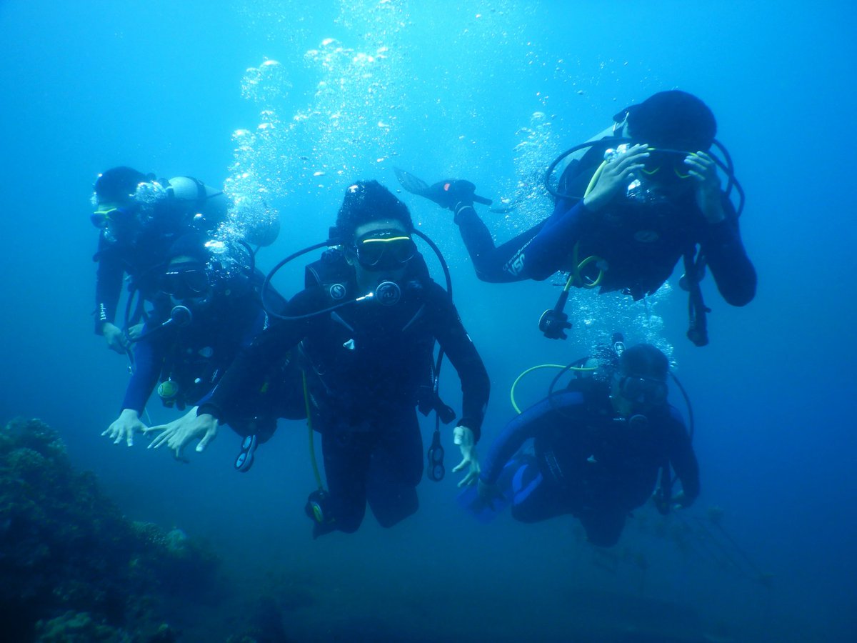 JaladharmaC's tweet photo. the Squad 

#scubadiving 
#diving 
#openwater 
#underwaterphotography https://t.co/ntWMDIdmaR