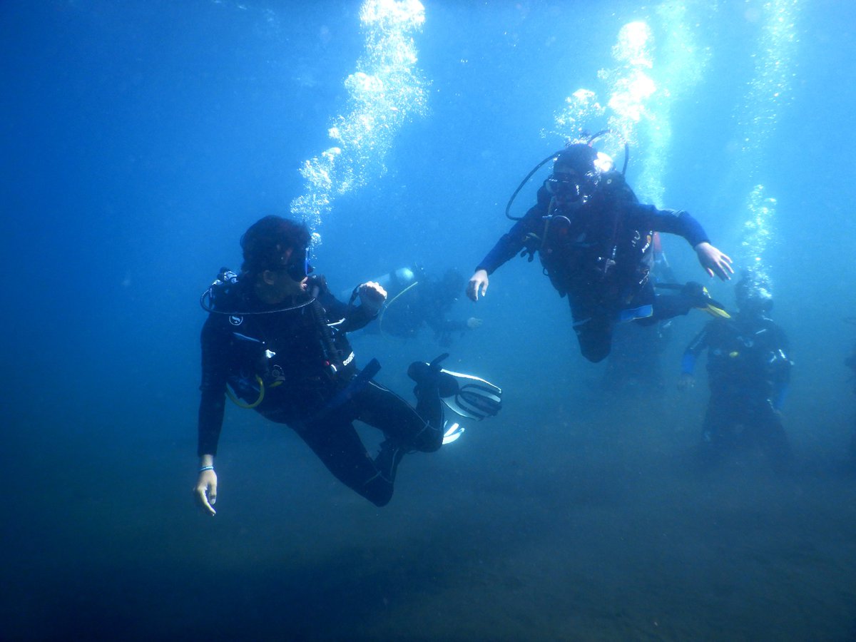 JaladharmaC's tweet photo. Catch me i u can

#scubadiving 
#diving 
#openwater 
#belajarselam
#belajarmenyelam
#underwaterphotography
#underwater https://t.co/yhfkDjMtdA