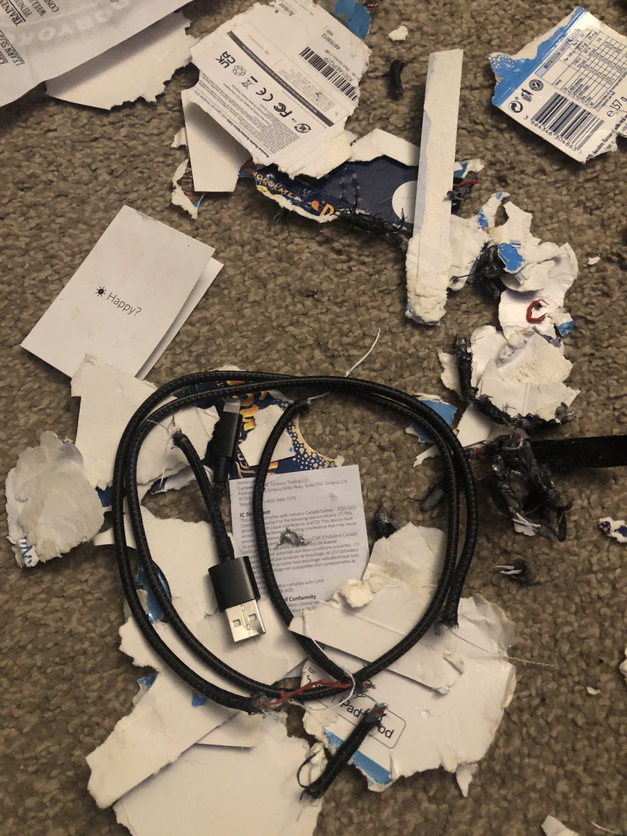 MegaMegaMegGeo's tweet photo. The irony of the ‘happy?’ leaflet surviving my puppy’s destruction of my brand new, still in the box @AnkerOfficial charger wire. 😭 It only arrived today! 💔 Definitely not happy, cheers Bonnie. 😔 https://t.co/hR8fXpttRb