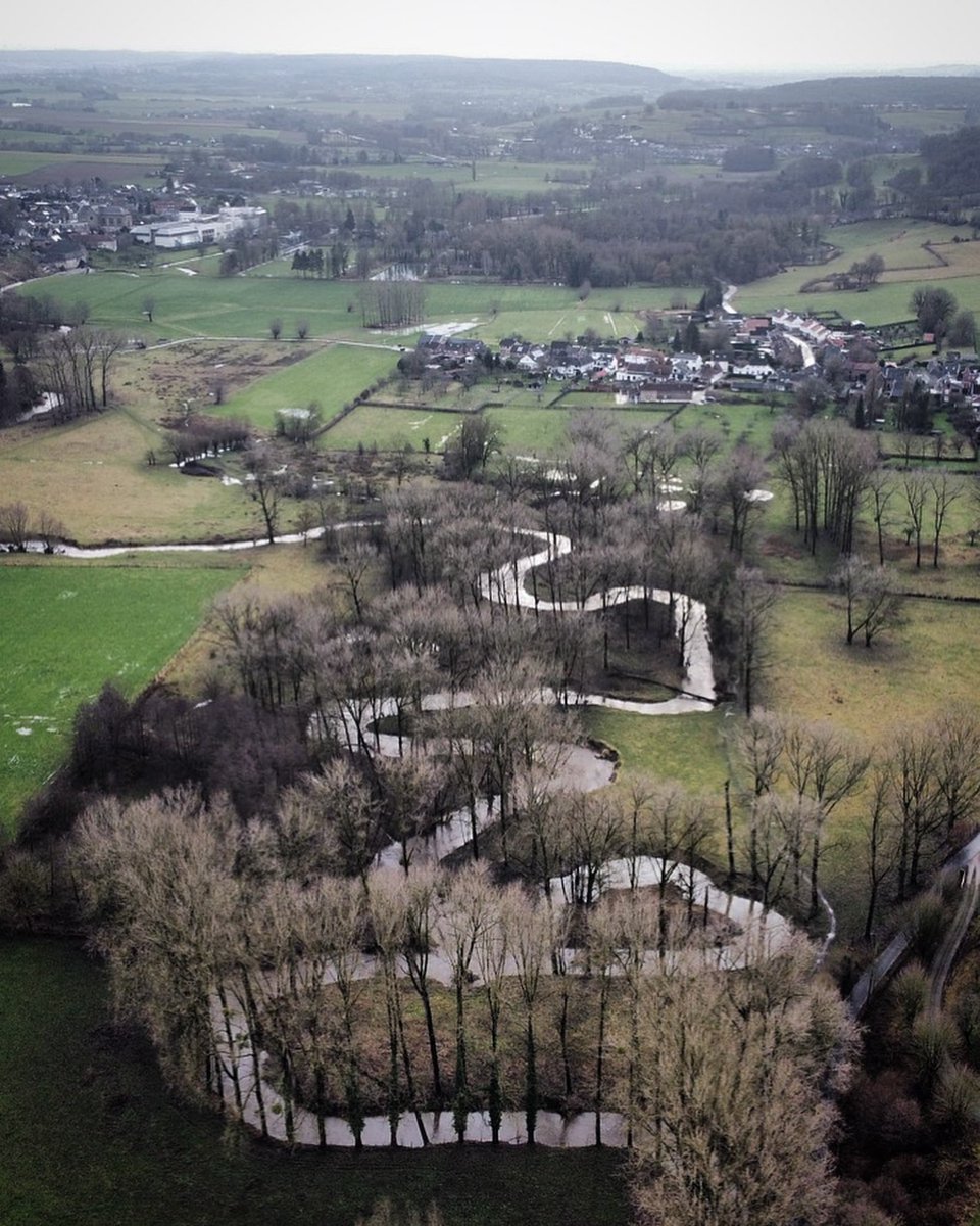 Magnifiek Zuid-Limburg tweet media