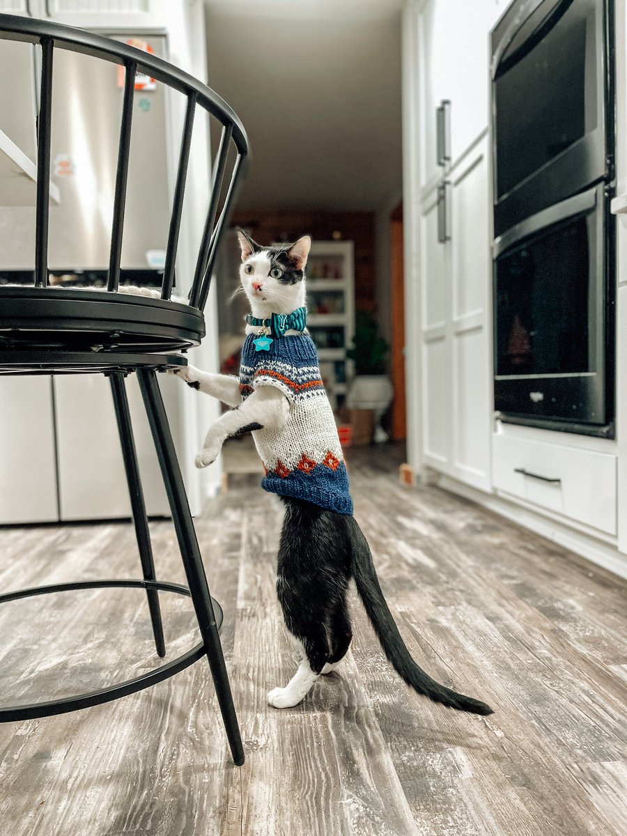 Tom Snarsky tweet media