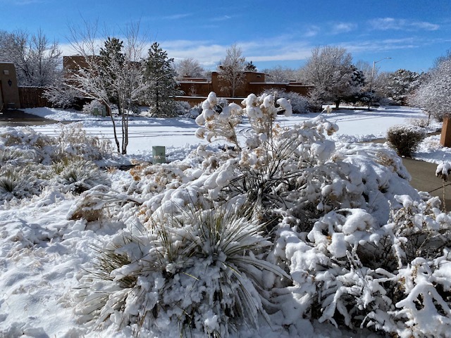 extreme_twist's tweet photo. The New Year brought us snow and moisture but the roads are still icy and treacherous on off-streets, drive with extra caution!
Should you need #autorepair, call us right away, we offer #freetowing to our shop and we would help you contact your insurance. #santafecollisionrepair https://t.co/fiLS2UP59n