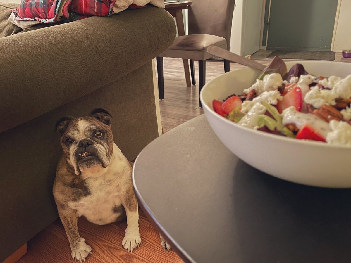 TobyBully's tweet image. the hungry (but cute) troll who lives under the bridge demands payment 🥗