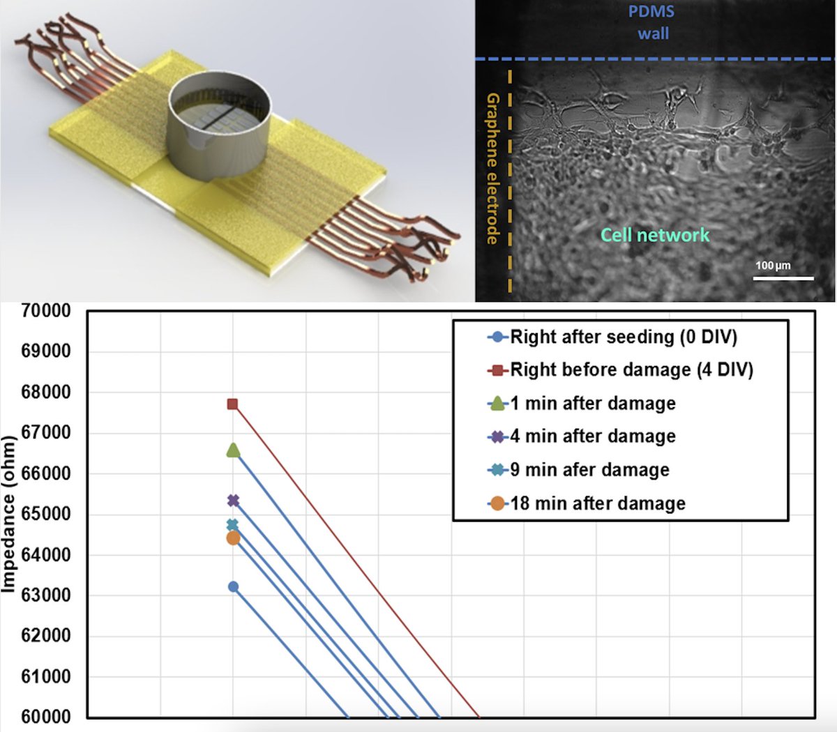 hnastaran's tweet photo. Electrohydrodynamic patterning of flexible microelectrode arrays for in vitro impedimetric microfluidic analysis of neural cells @ACSPublications. @IAStateResearch @rmontazami #NSFfunded #NonMetallic #SoftElectronics #CellStressor #Fluid #Dynamics #Jetting https://t.co/hJRUitSJtI https://t.co/y7o5aGkhNP